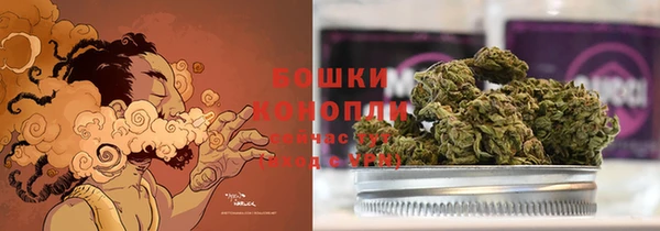 ПСИЛОЦИБИНОВЫЕ ГРИБЫ Армянск