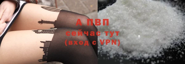 шишки Михайлов