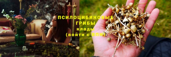 ПСИЛОЦИБИНОВЫЕ ГРИБЫ Армянск